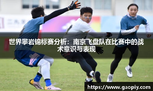 世界攀岩锦标赛分析:南京飞盘队在比赛中的战术意识与表现